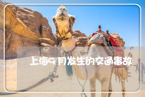 上海9月发生的交通事故/2023030182625