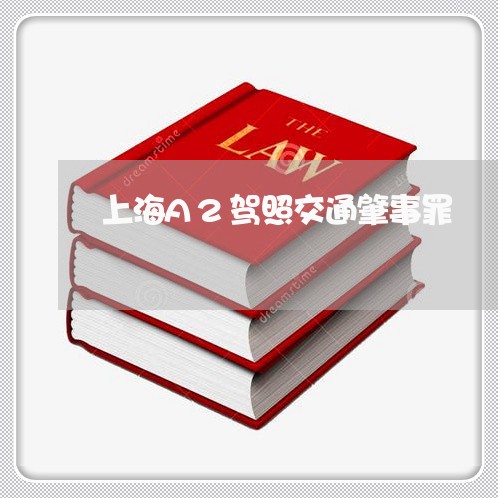 上海A2驾照交通肇事罪/2023030129381