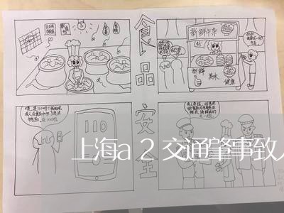 上海a2交通肇事致人死亡/2023032050492