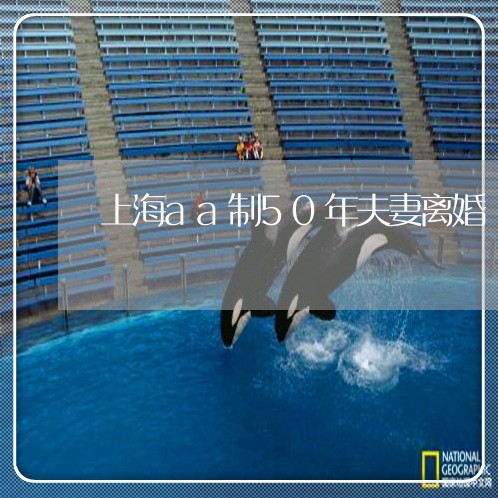 上海aa制50年夫妻离婚/2023032080727