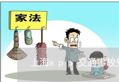 上海app交通事故处理/2023030116147