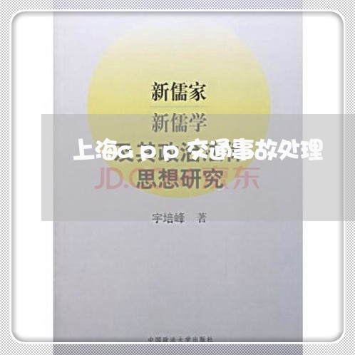 上海app交通事故处理/2023030181793