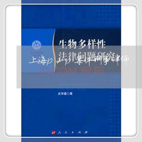 上海p2p案件刑事律师/2023030173793 上海p2p案件刑事律师/2023030173793