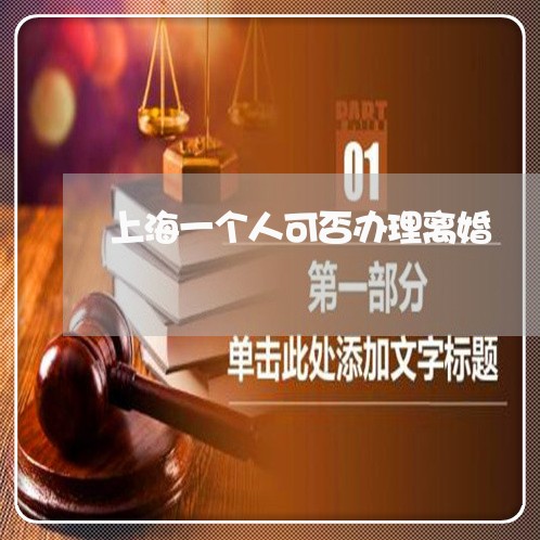 上海一个人可否办理离婚/2023030217049