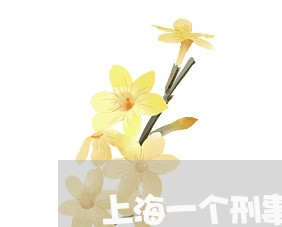 上海一个刑事律师多少钱/2023030226150