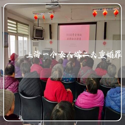 上海一个女人嫁二夫重婚罪/2023032070380 上海一个女人嫁二夫重婚罪/2023032070380