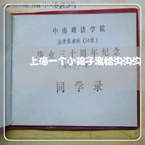 上海一个小孩子离婚沟沟沟/2023032005827 上海一个小孩子离婚沟沟沟/2023032005827