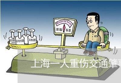 上海一人重伤交通肇事罪/2023030160269 上海一人重伤交通肇事罪/2023030160269