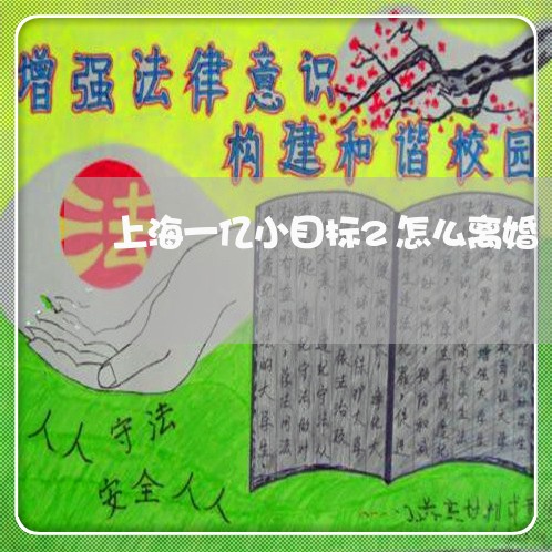 上海一亿小目标2怎么离婚/2023032006158