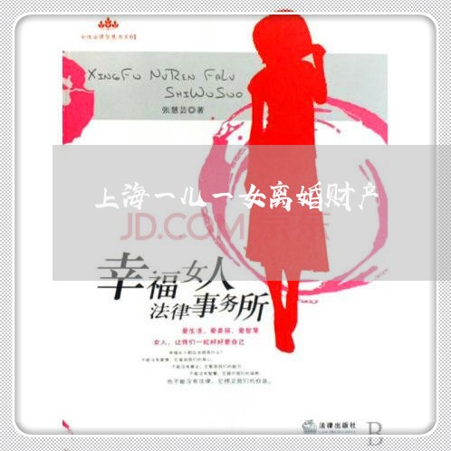 上海一儿一女离婚财产/2023021484026