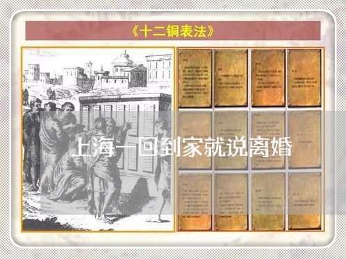 上海一回到家就说离婚/2023040923915