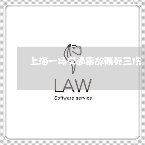 上海一场交通事故两死三伤/2023032050391