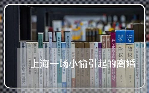上海一场小偷引起的离婚/2023030120461 上海一场小偷引起的离婚/2023030120461
