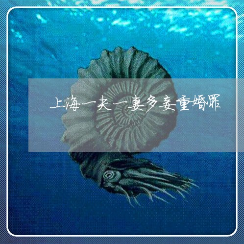 上海一夫一妻多妾重婚罪/2023030168460 上海一夫一妻多妾重婚罪/2023030168460