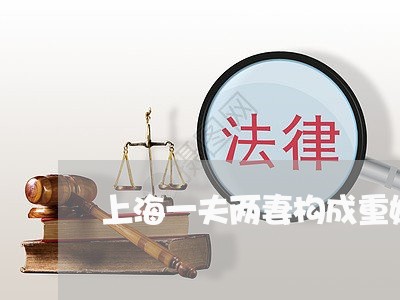 上海一夫两妻构成重婚罪/2023030131260 上海一夫两妻构成重婚罪/2023030131260