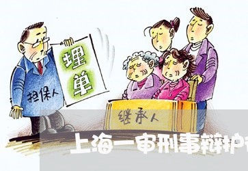 上海一审刑事辩护律师推荐/2023032073603 上海一审刑事辩护律师推荐/2023032073603