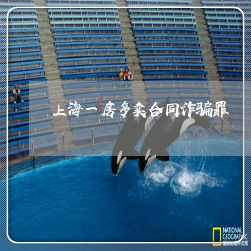 上海一房多卖合同诈骗罪/2023030173593 上海一房多卖合同诈骗罪/2023030173593