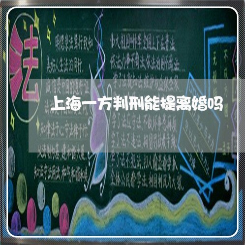 上海一方判刑能提离婚吗/2023030161606 上海一方判刑能提离婚吗/2023030161606
