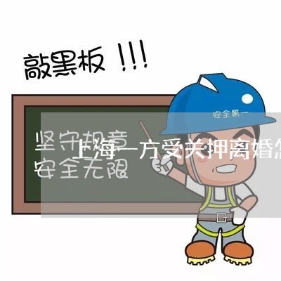 上海一方受关押离婚怎么办/2023032027160 上海一方受关押离婚怎么办/2023032027160