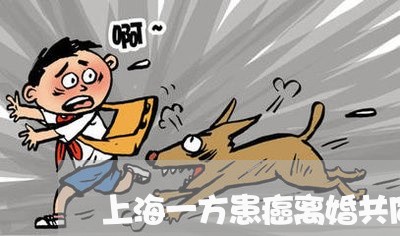 上海一方患癌离婚共同财产/2023032049470 上海一方患癌离婚共同财产/2023032049470