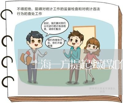 上海一方提起离婚如何准备/2023032004272 上海一方提起离婚如何准备/2023032004272