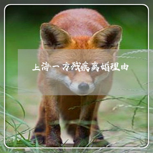 上海一方残疾离婚理由/2023021462713 上海一方残疾离婚理由/2023021462713