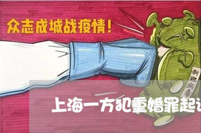 上海一方犯重婚罪起诉离婚/2023032029179