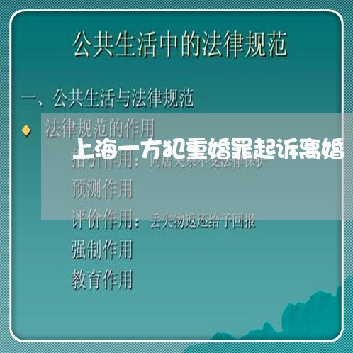 上海一方犯重婚罪起诉离婚/2023032048249