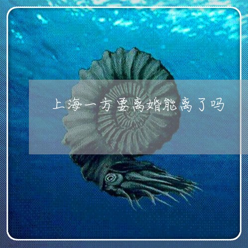 上海一方要离婚能离了吗/2023030204938 上海一方要离婚能离了吗/2023030204938