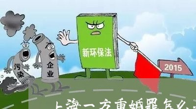 上海一方重婚罪怎么办/2023040918048