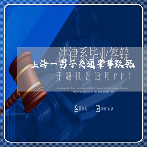 上海一男子交通肇事致死/2023030175138 上海一男子交通肇事致死/2023030175138