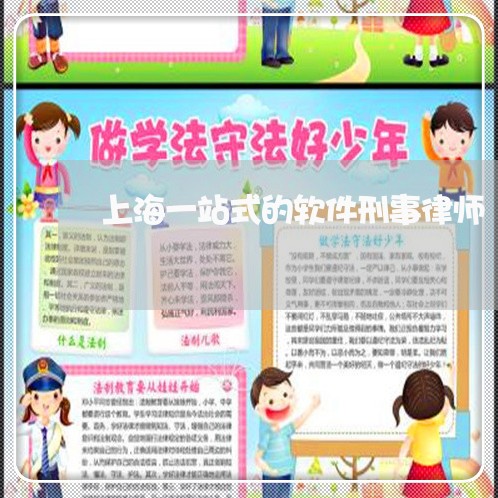 上海一站式的软件刑事律师/2023032004037