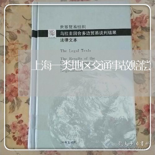 上海一类地区交通事故赔偿/2023032093715