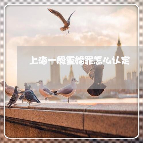 上海一般重婚罪怎么认定/2023030116160