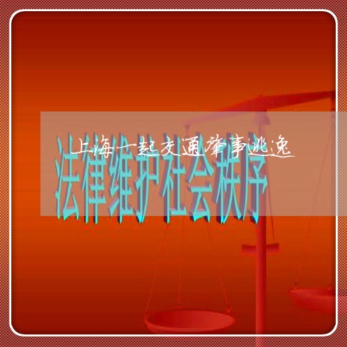 上海一起交通肇事逃逸/2023021457063 上海一起交通肇事逃逸/2023021457063