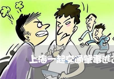 上海一起交通肇事逃逸案/2023030127240