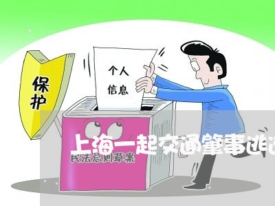 上海一起交通肇事逃逸案例/2023032059794 上海一起交通肇事逃逸案例/2023032059794