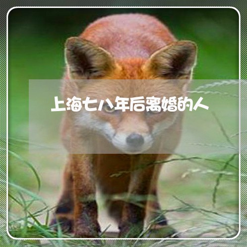上海七八年后离婚的人/2023021494928 上海七八年后离婚的人/2023021494928