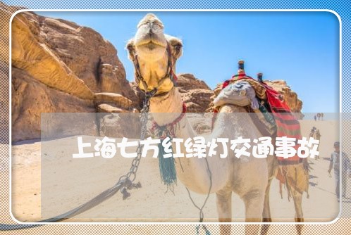 上海七方红绿灯交通事故/2023030154816