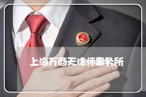 上海万商天律师事务所/2023040942926