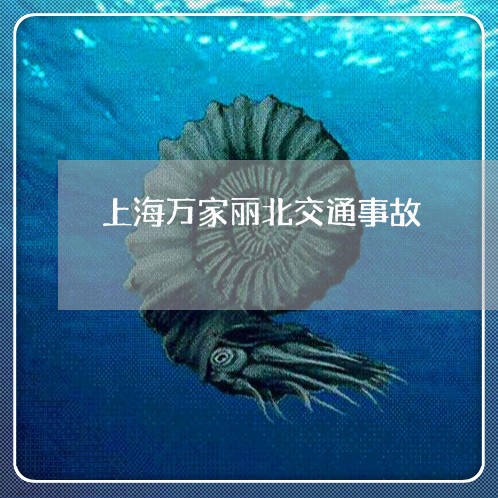 上海万家丽北交通事故/2023040928270