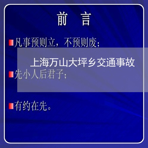 上海万山大坪乡交通事故/2023030148160 上海万山大坪乡交通事故/2023030148160