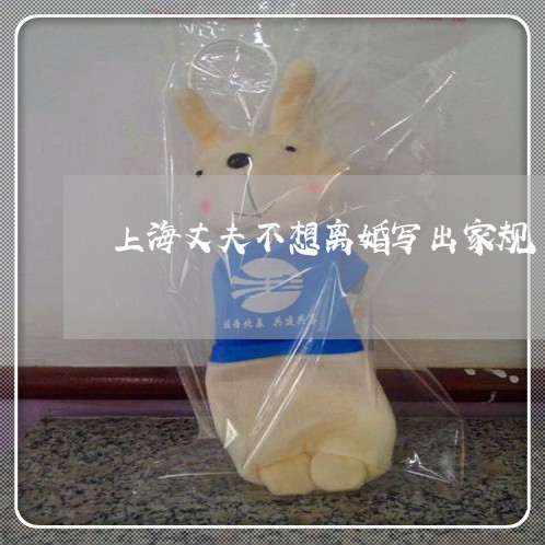 上海丈夫不想离婚写出家规/2023032016828 上海丈夫不想离婚写出家规/2023032016828
