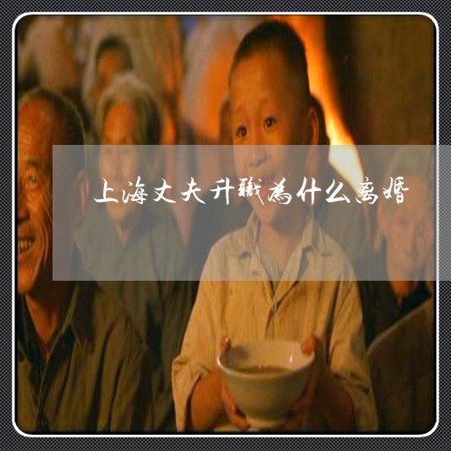 上海丈夫升职为什么离婚/2023030129261 上海丈夫升职为什么离婚/2023030129261
