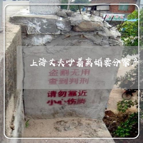 上海丈夫吵着离婚要分家产/2023032094614