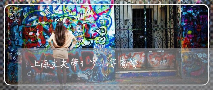 上海丈夫带3岁儿子离婚/2023030105240