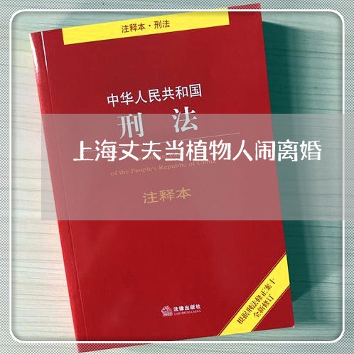 上海丈夫当植物人闹离婚/2023030136938 上海丈夫当植物人闹离婚/2023030136938