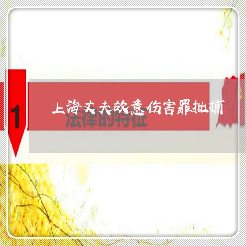 上海丈夫故意伤害罪批捕/2023030205017 上海丈夫故意伤害罪批捕/2023030205017
