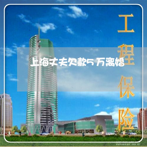 上海丈夫欠款5万离婚/2023040907268