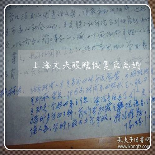 上海丈夫眼瞎恢复后离婚/2023030163793 上海丈夫眼瞎恢复后离婚/2023030163793